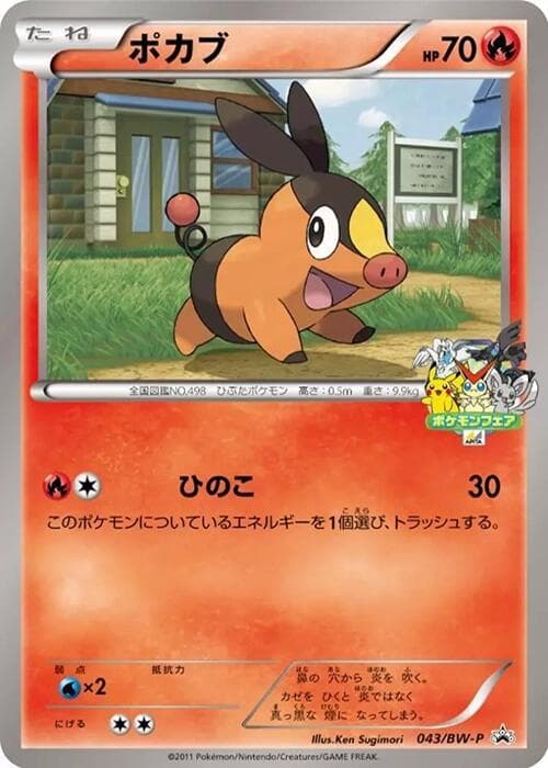 Tepig 043