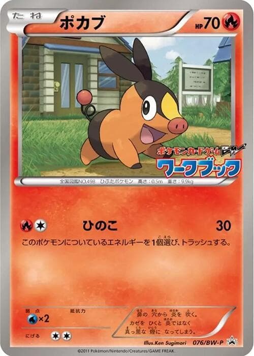 Tepig 076
