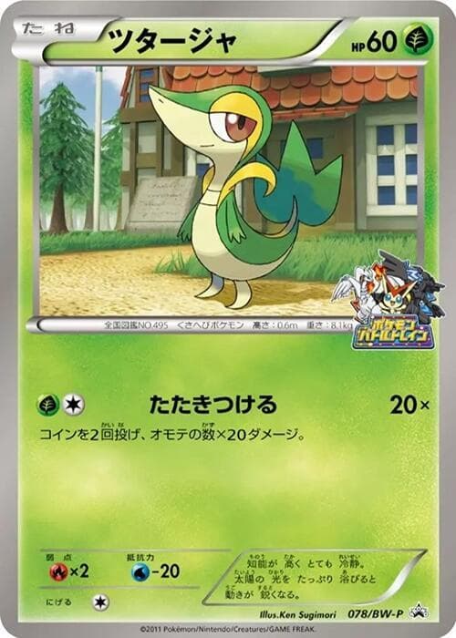 Snivy 078