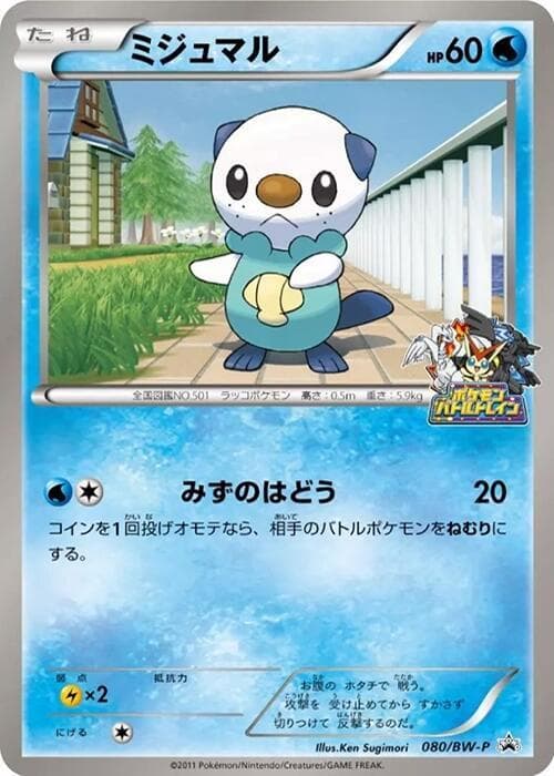 Oshawott 080