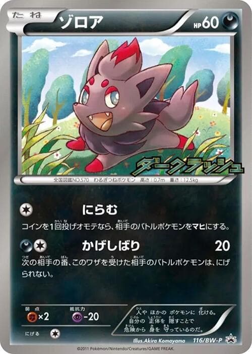 Zorua 116
