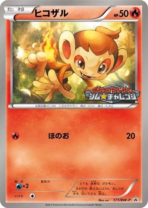 Chimchar 171 Normal