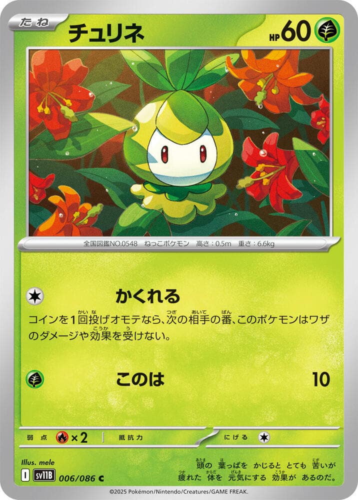 Petilil 006