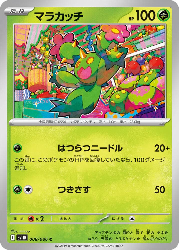 Maractus 008