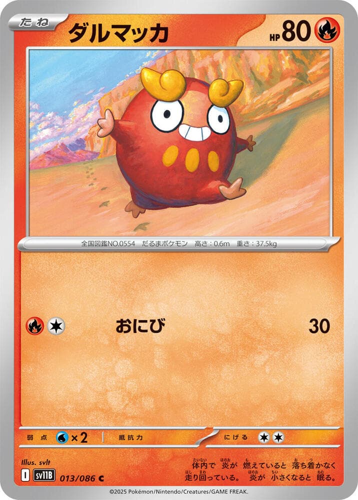 Darumaka 013 Normal