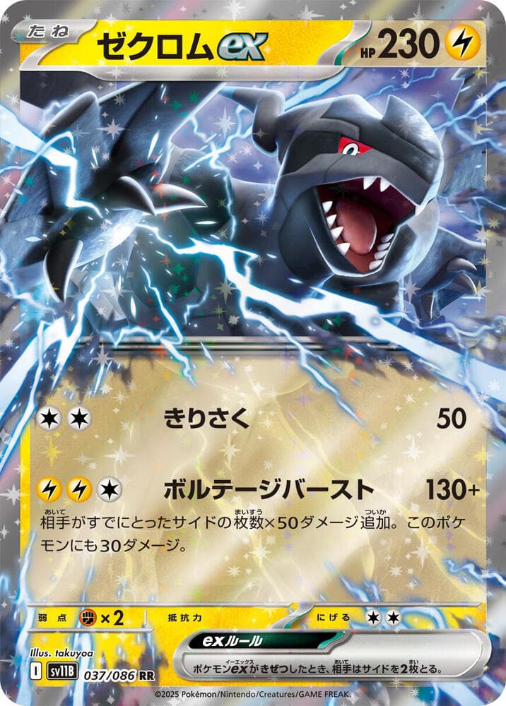 Zekrom ex 037