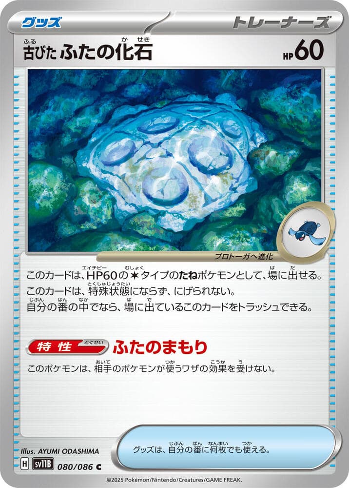 Antique Cover Fossil 080