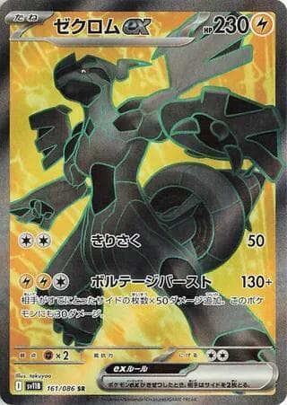 Zekrom ex 161