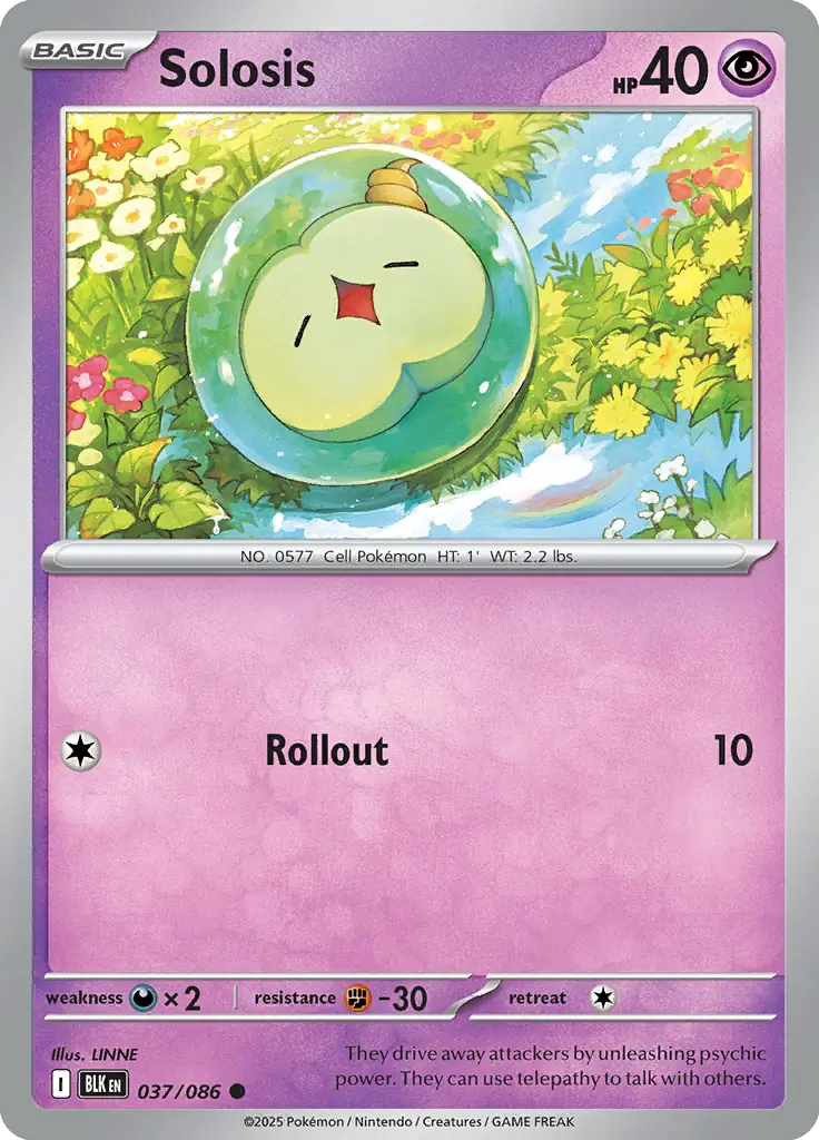 Solosis 037