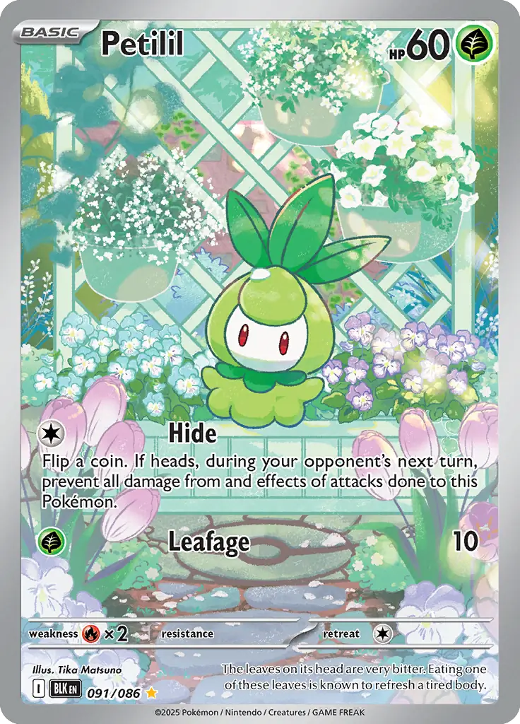Petilil 091