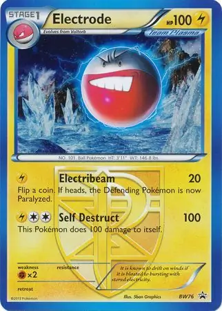 Electrode BW76