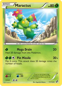 Maractus 11