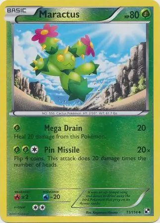 Maractus Reverse Holo 11 Normal