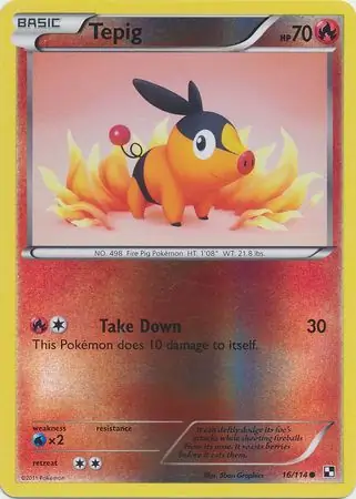 Tepig Reverse Holo 16 Normal