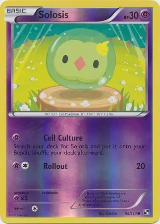 Solosis Reverse Holo 55 Normal