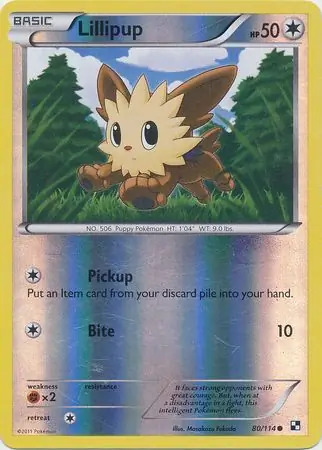 Lillipup Reverse Holo 80 Normal