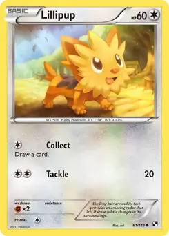 Lillipup 81 Normal