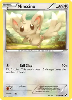 Minccino 88