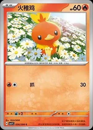 Torchic Masterball Holo 036