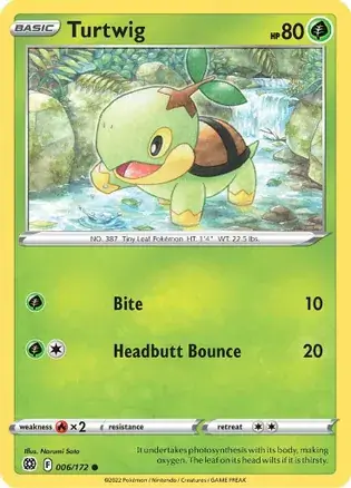 Turtwig 006