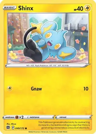 Shinx 049