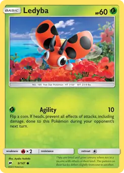 Ledyba 9 Normal