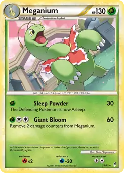 Meganium 27 Normal