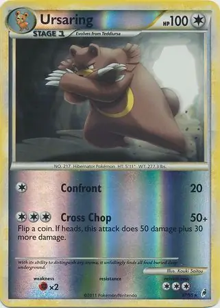 Ursaring Reverse Holo 37 Normal
