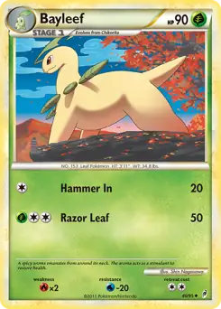 Bayleef 40