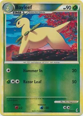 Bayleef Reverse Holo 40 Normal