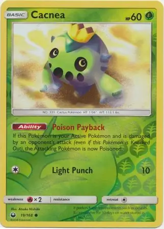 Cacnea Reverse Holo 19 Normal