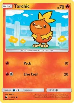 Torchic 26 Normal