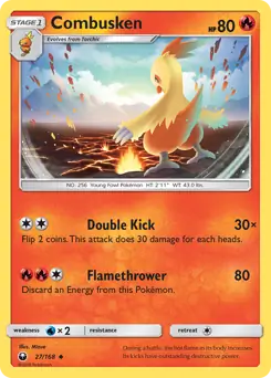 Combusken 27