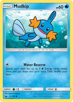 Mudkip 32 Normal