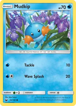Mudkip 33 Normal