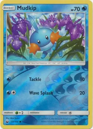 Mudkip Reverse Holo 33