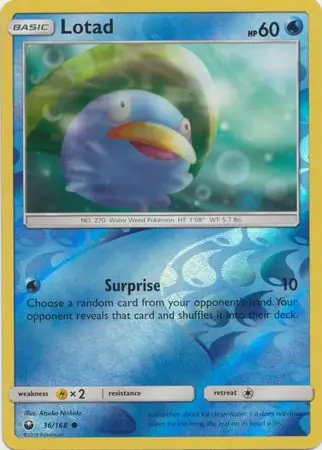 Lotad Reverse Holo 36