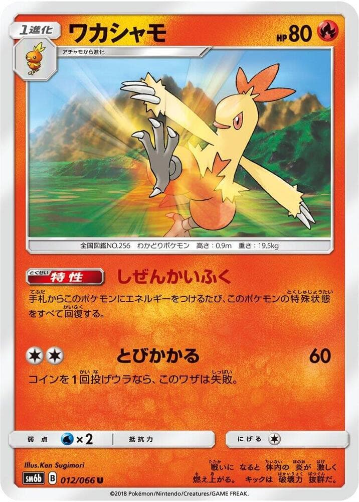 Combusken 012