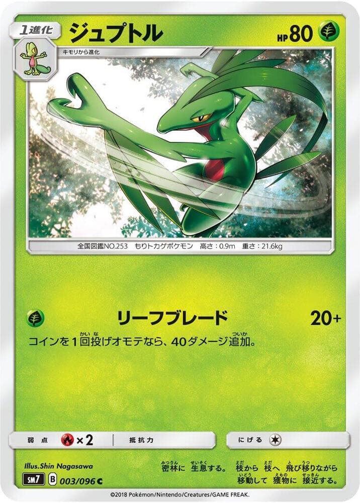 Grovyle 003