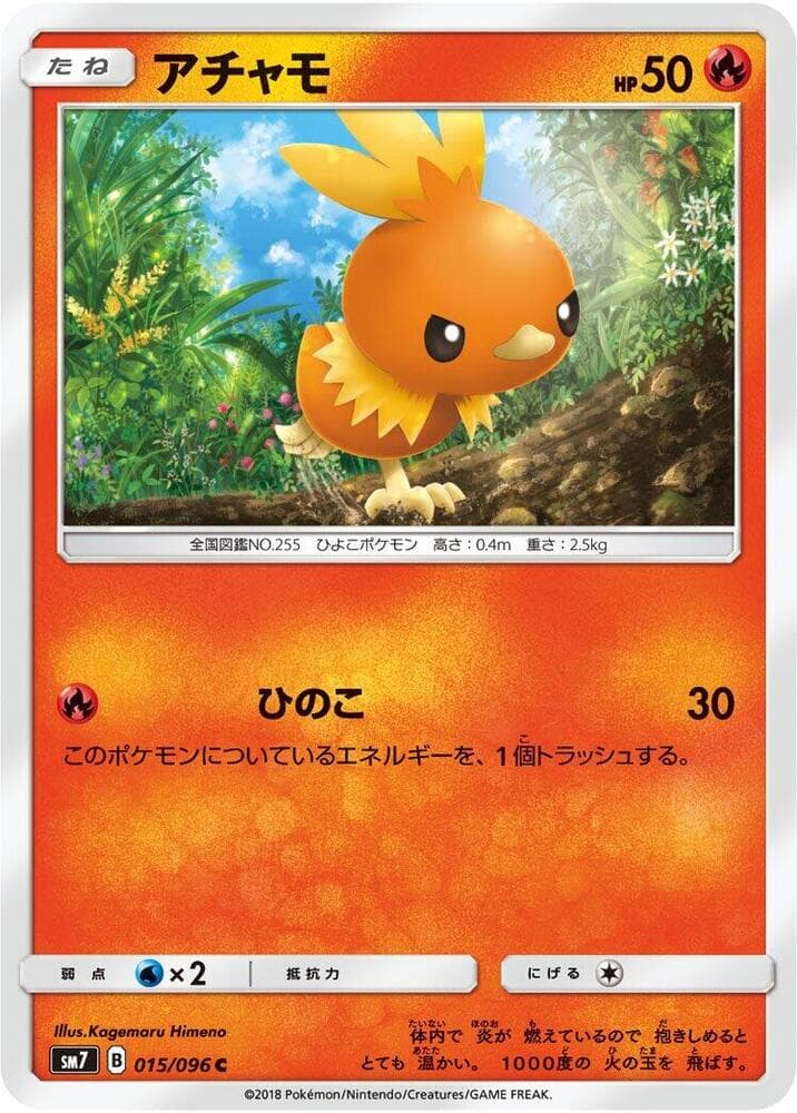 Torchic 015