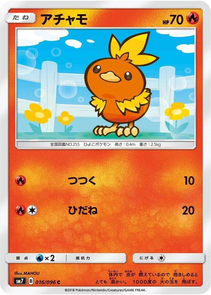 Torchic 016 Normal