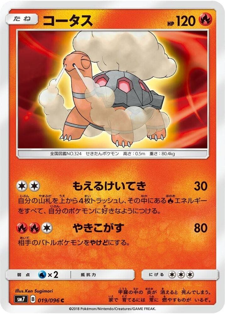 Torkoal 019