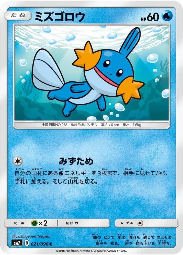 Mudkip 021 Normal