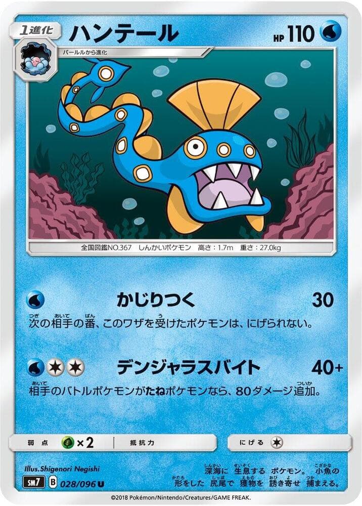 Huntail 028