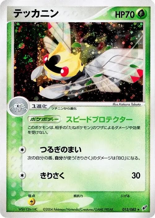 Ninjask 13
