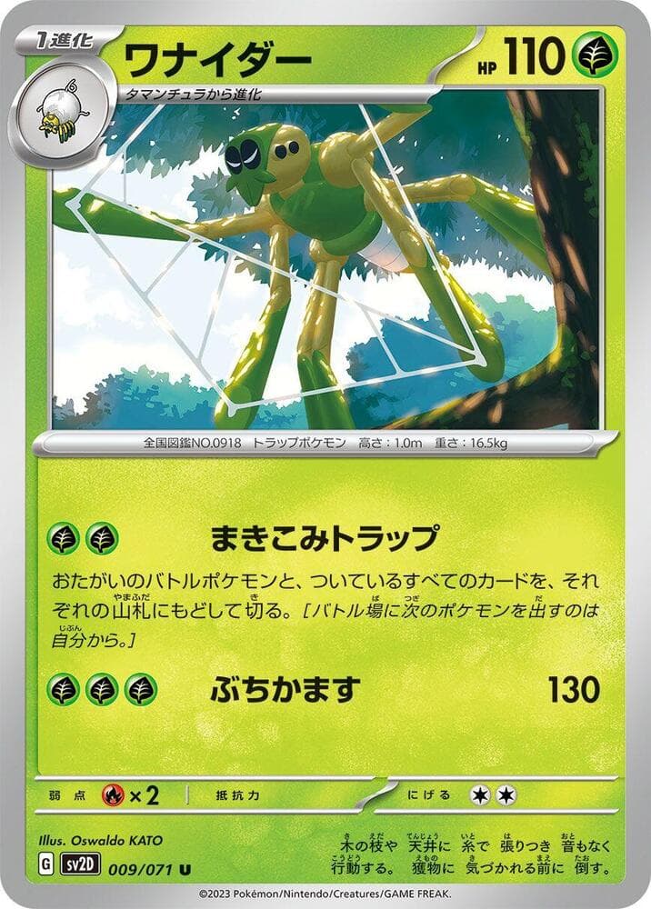 Spidops 009 Normal