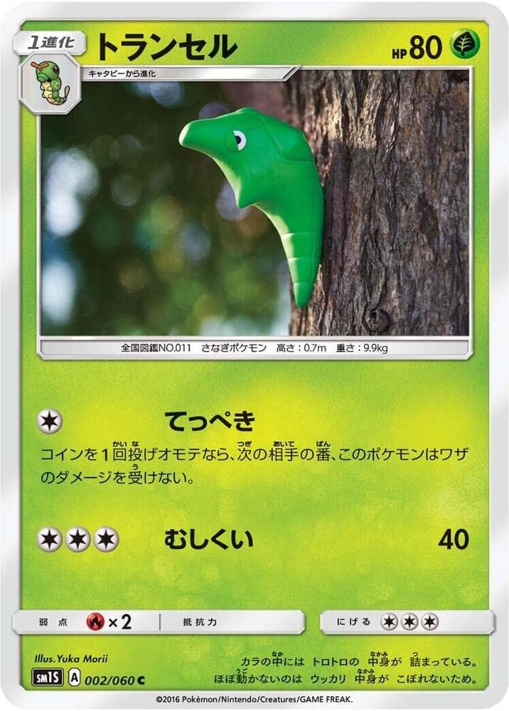 Metapod 002 Normal