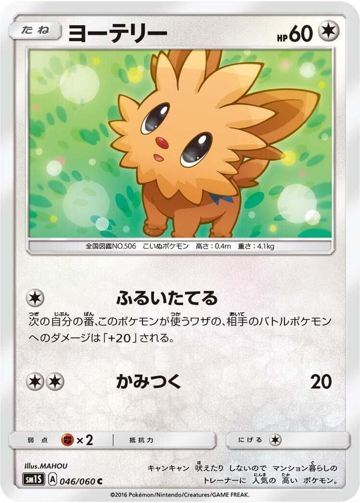 Lillipup 046