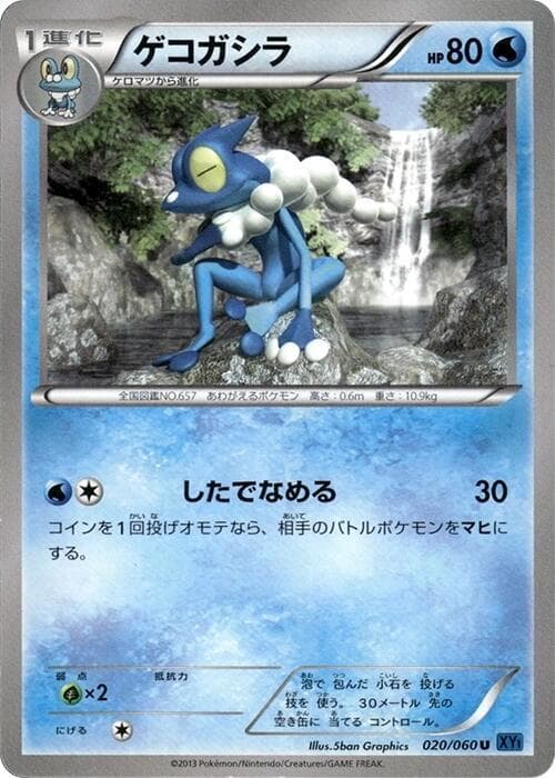 Frogadier 020