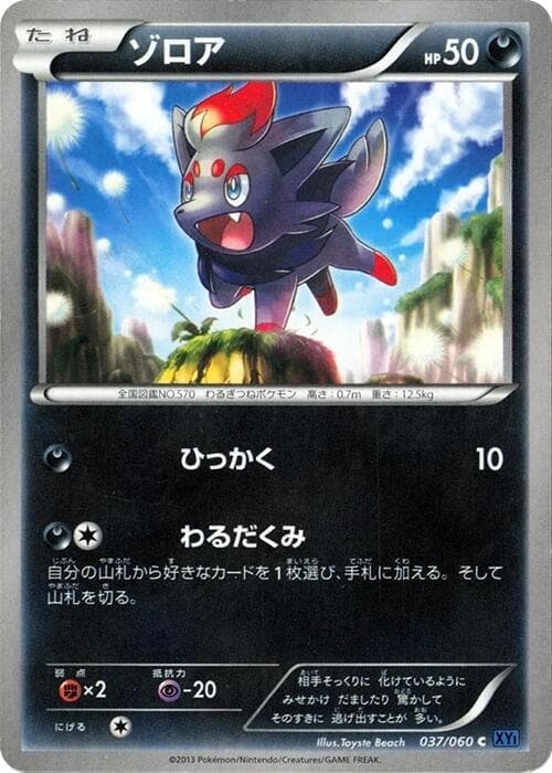 Zorua 037